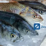 Budidaya Ikan Bandeng