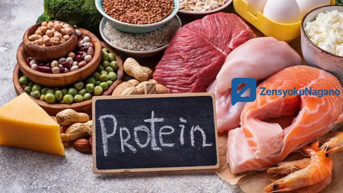 Makanan Tinggi Protein: Kunci Energi & Kesehatan Tubuh